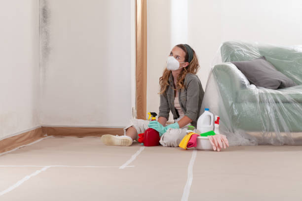 Reliable Mold Remediation contractor in Gladstone, NJ by Cheap Mold Removal